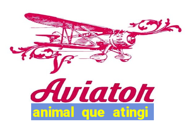 animal que atingi 230 decibeis