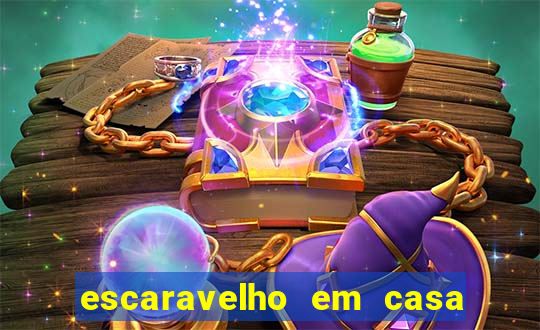 escaravelho em casa significado espiritual