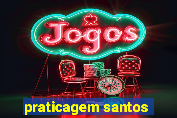 praticagem santos