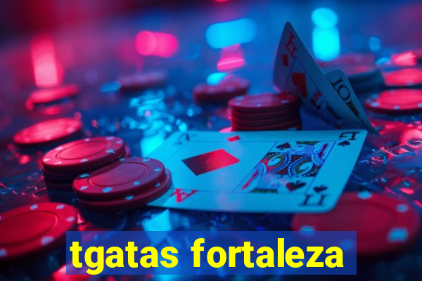 tgatas fortaleza