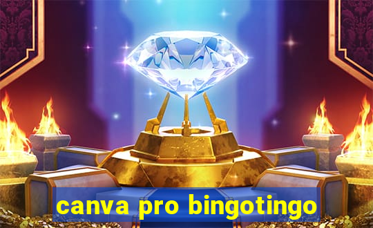 canva pro bingotingo