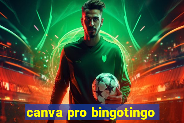 canva pro bingotingo