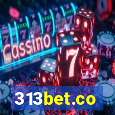 313bet.co