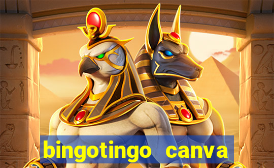 bingotingo canva pro gratis