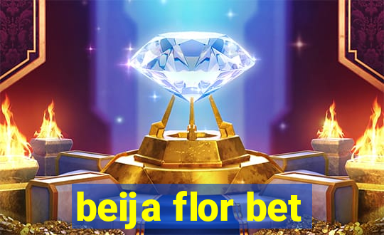 beija flor bet