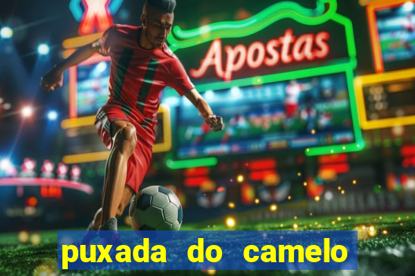 puxada do camelo no jogo do bicho