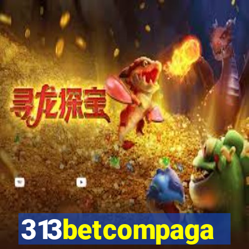 313betcompaga