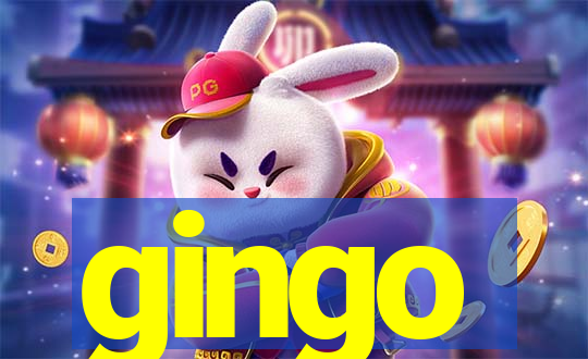 gingo