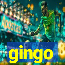 gingo