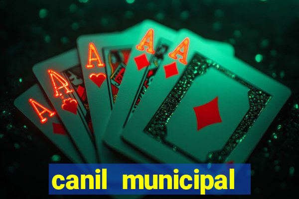 canil municipal porto alegre