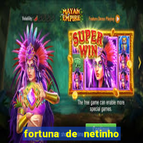 fortuna de netinho de paula