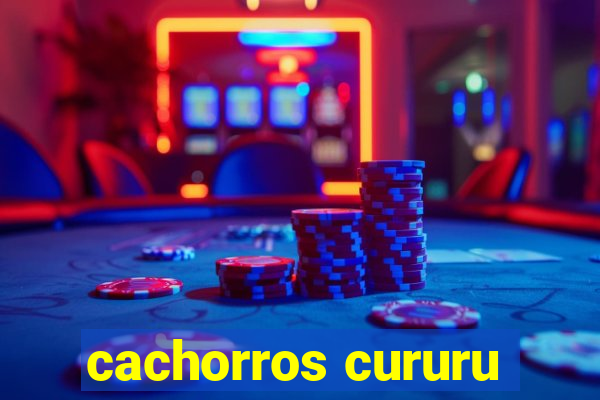 cachorros cururu