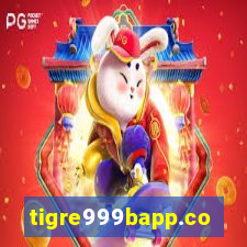 tigre999bapp.com