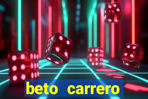 beto carrero cidades proximas