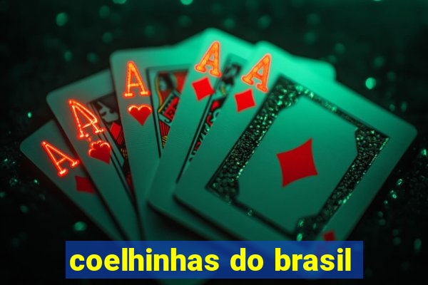 coelhinhas do brasil