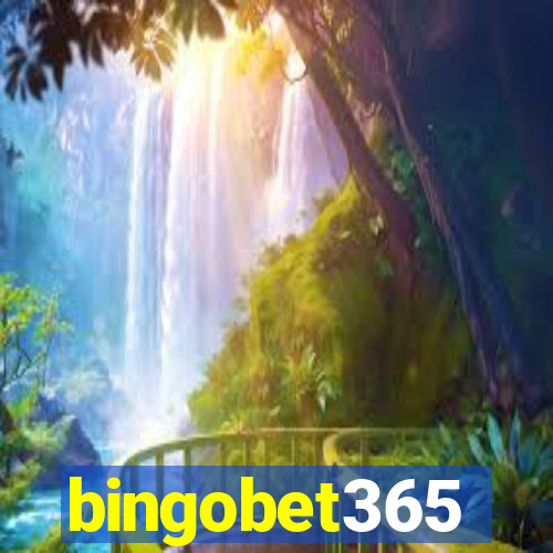 bingobet365